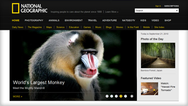 无限短信网页在线轰炸